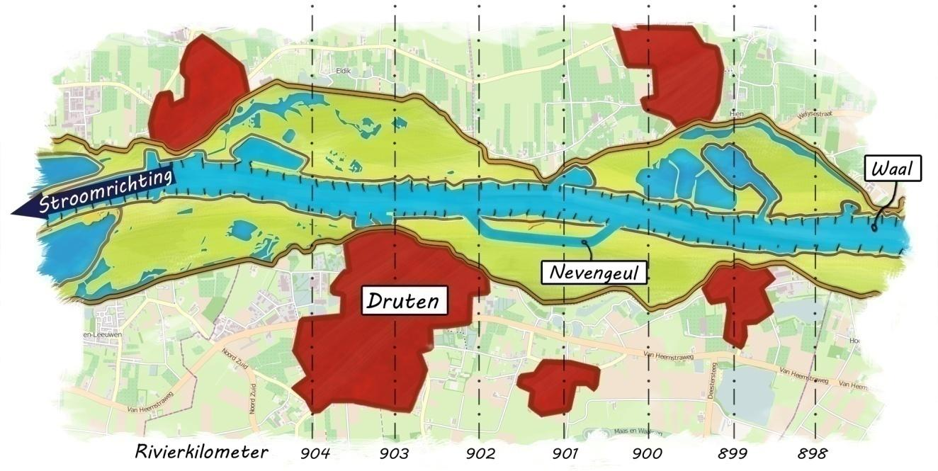Figuur 4-2. Gekozen locatie (zie ook Figuur 4-3). Het water stroomt van oost naar west. Figuur 4-3. Locatiekeuze nevengeul in Afferdense en Deestsche -waarden nabij Druten.