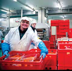 5 2/ Investeren in medewerkers 36 nieuwe medewerkers per dag De Belgische voedingsindustrie, een uiterst stabiele werkgever Al meer dan 10 jaar lang stelt onze sector zo n 90.000 mensen tewerk.