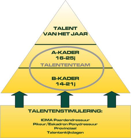 De piramidestructuur van het Talentenplan in 2011. In het expertenplatform hebben we enerzijds per discipline een groep van sporttechnici, zoals ruiters en trainers.