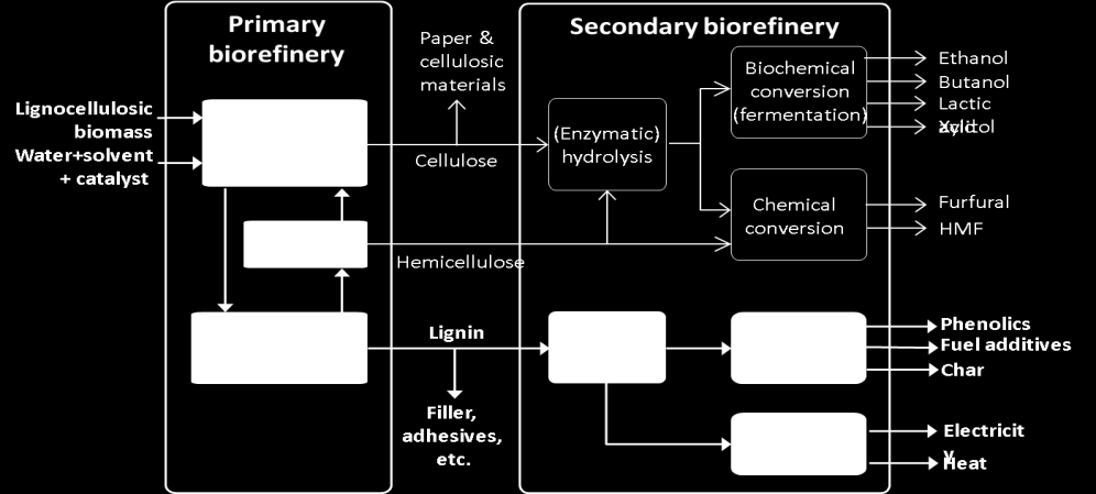 name aquatische plantaardige bronnen (o.a. zeewier) ECN bijdrage TKI programmalijnen Organosolv: Ontwikkeling (Organosolv) fractioneringstechnologie voor lignocellulose biomassa Opwerking fracties: