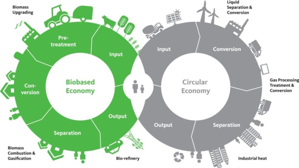 ECN Biomassaprogramma op hoofdlijnen Biomassa heeft een prominente rol in de transitie naar duurzaam.