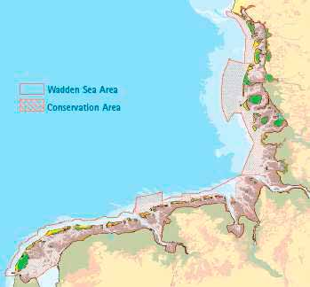 6 2. PROBLEEMANALYSE 2.1. Trinationale Waddenzee De Waddenzee is het grootste kustnatuurgebied van Noordwest Europa.