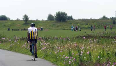 Hier bieden ze een uitstekend alternatief voor het traditionele groenbeheer van gazons en heesterperken langs wegbermen, in parken en plantsoenen, verkeersknooppunten en (tijdelijk) braakliggende