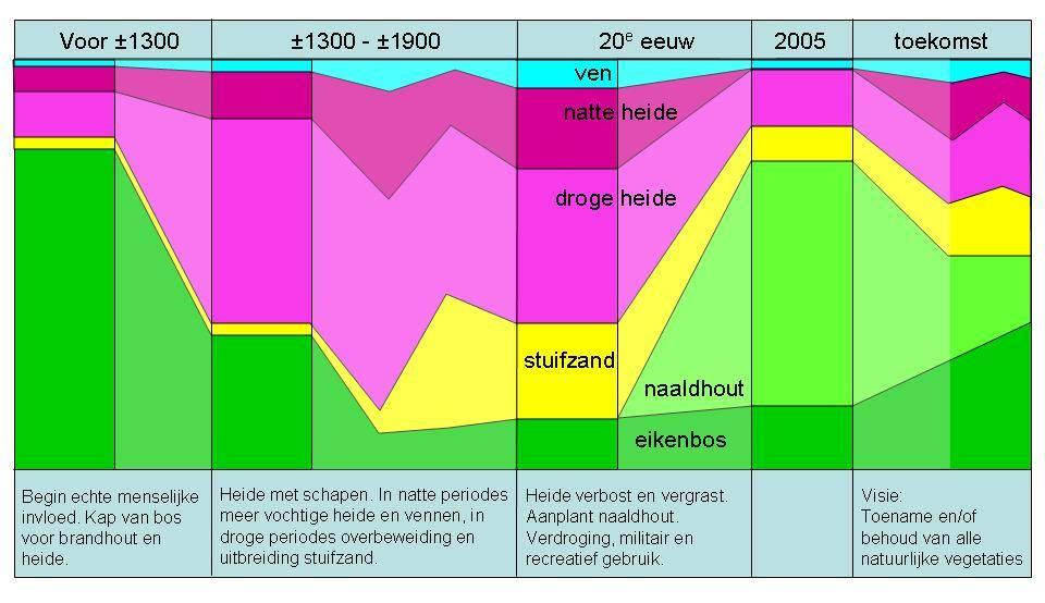 Figuur 3.3. Impressie van de ontwikkeling van habitats in Loonse en Drunense Duinen door de eeuwen heen.