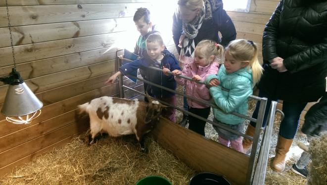 Op de vragen die gesteld werden, wisten ze elk antwoord!!!! Na de rondleiding gingen de kinderen lekker actief aan het werk. Op een tafel lagen allerlei voorwerpen.