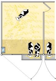 De ruimte dient minstens 8-10 m 2 per koe te bedragen. De vloer dient bedekt te zijn met een flink strobed om het afkalven probleemloos te laten verlopen.