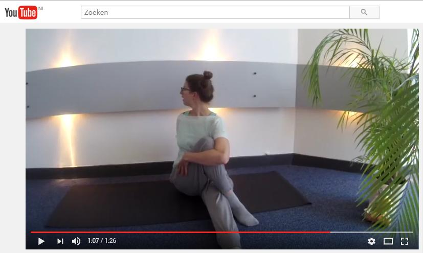 Iedereen die hatha yoga doet krijgt er mee te maken: niet alle ãsana's kunnen door elk lichaam op dezelfde wijze worden uitgevoerd.