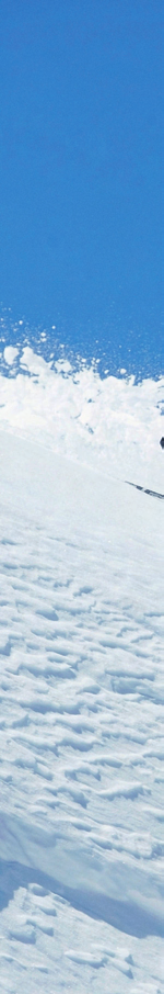 Een ski met een rijke uitstraling en perfecte geometrie voor gebruik op en naast de piste.