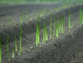 bedrijven belemmerd worden; - Mits in het bedrijfsplan is opgenomen dat overtollige bebouwing wordt gesloopt; - Mits geen bestaande natuur- en landschappelijke, cultuurhistorische, abiotische en