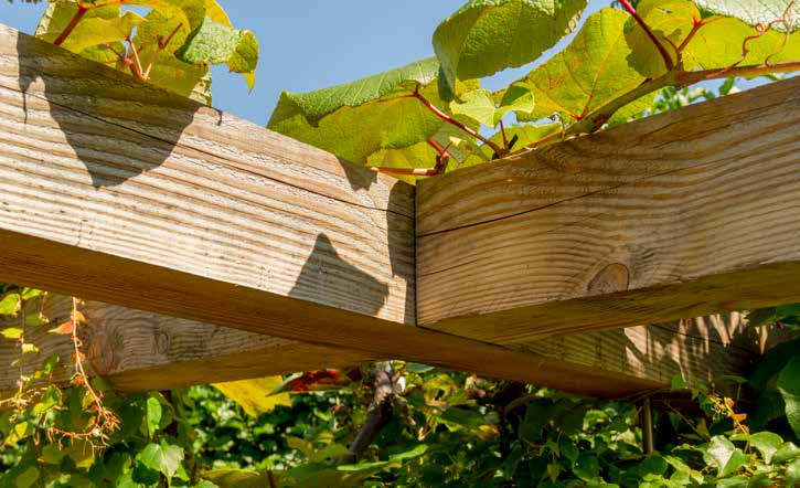 Doordat dit hout versgezaagd wordt kan het eventueel indrogen en is het daarom minder maatvast. (Ook bestaat er met versgezaagd hout kans op schimmelvorming.