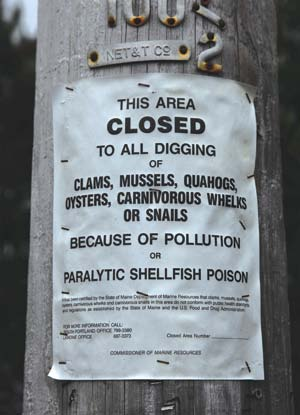Onschadelijke en schadelijke algenbloeien Toxische