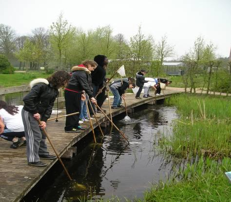 (W)onder- Water-Wereld Op ontdekking in de (w)onderwaterwereld van schaatsenrijders, rugge-zwemmertjes en ander onderwaterleven.