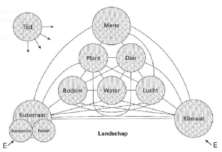 Figuur 50: Landschapsfactoren De basis van het systeem wordt gevormd door de drie geofactoren: het substraat, het klimaat en de mens.