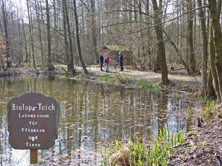 Aan de rand van Barntrup, een klein stadje 50Km oostelijk van Bielefeld/Paderborn, liggen het plaatselijke zwembad en Ferienpark Teutoburgerwald. Daar aan de Badeanstaltsweg start de wandeling.