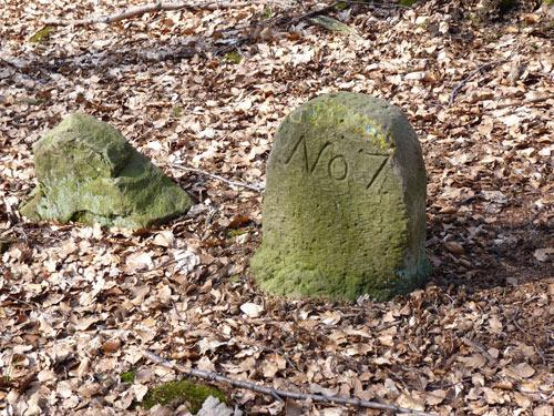 Ook de uitzichten komen veelvuldiger voorbij en worden alsmaar mooier. Ook achter ons waar een van de hoogste toppen van dit gebied, de 429m hoge 'Winterberg', zichtbaar is.