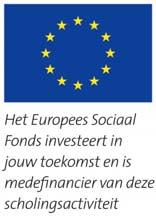 Handleiding voor bedrijven ESF-subsidie op Rijopleidingen voor SOOB-bedrijven Deze handleiding betreft een nadere toelichting op het ESF-subsidiereglement.