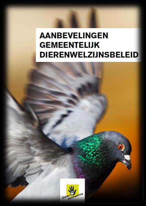 Introductie Voor u ligt het Actieplan Dierenwelzijn van de gemeente Hendrik-Ido-Ambacht. Dit actieplan komt voort uit de Nota Dierenwelzijn die eind 2016 door de gemeenteraad is vastgesteld.