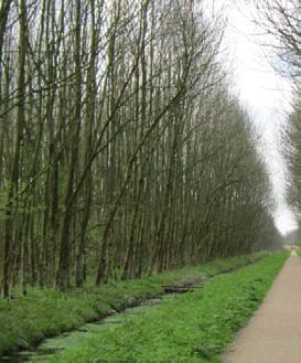 Het gebied kent een grote landschappelijke