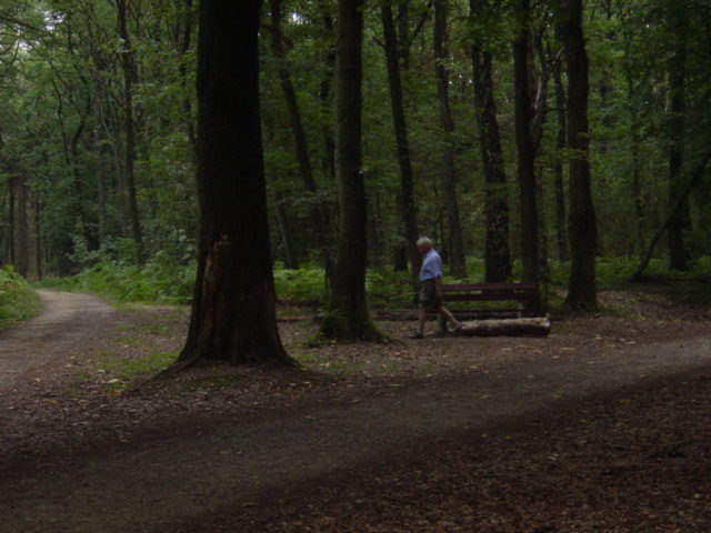 Bijna op het einde van deze grindweg verschijnt er aan uw linkerkant een geologisch monument. Direct daarna gaat het pad over in een asfaltweg en maakt een bocht naar rechts.