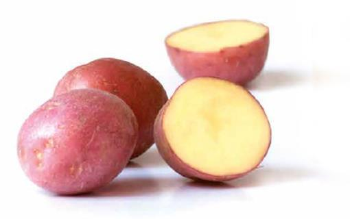 Nieuw!!! Roseval kriel cherry potatoes De Roseval kriel cherry potato is een typisch seizoensproduct en van september tot en met januari beschikbaar.