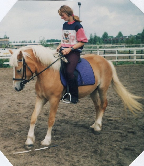 Sophie van der Ploeg Organisatie paardensector & regelgeving omtrent stamboekerkenningen Organisatie De PVE voeren de erkenning en het toezicht op de paardenfokkerij en de Identificatie en