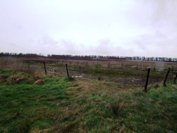 Pagina 10 van 22 Figuur 2-5. Paardenbak en deel van het grasland. 2.3 BESCHERMDE GEBIEDEN IN DE NABIJE OMGEVING 2.3.1 Natura 2000 De onderzoekslocatie is gelegen ten noordoosten van het Natura 2000 gebied Fochteloërveen.