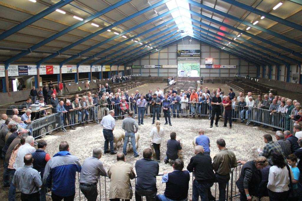 Schapenlandschap houdt gemoederen bezig. 04726-01767 toonaangevend op prestigieuze TES-fokdag Zichzelf respecteerde Texelaar fokker is óf inzender óf bezoeker. Een dag om niet te missen!