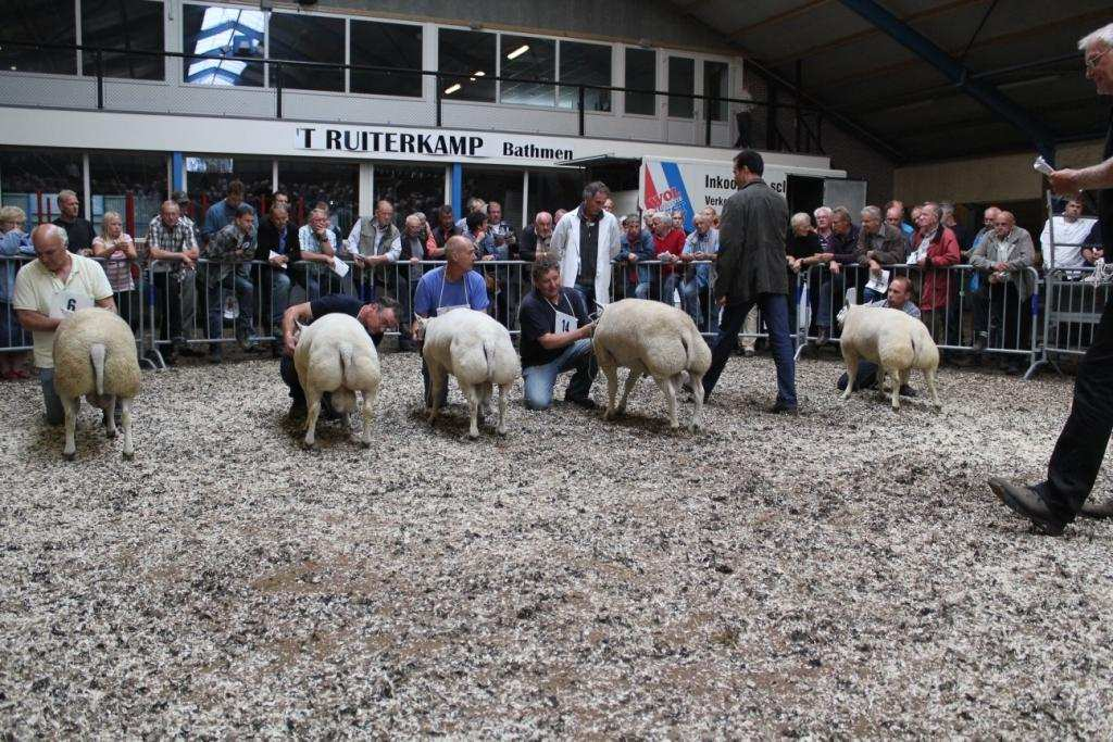 In Bathmen mogen alléén fokkers van Texelaars meedoen die, in het kader van de zwoegerziektebestrijding, aangesloten zijn bij de Gezondheidsdienst voor Dieren.