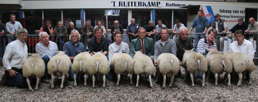 Het trio in de 2 e serie loopt uit op de volgers. Goed soortig, uitstraling en breed op de rug en daarbij evenredig gebouwd is te schrijven voor de 1A inzending van B. Laan.