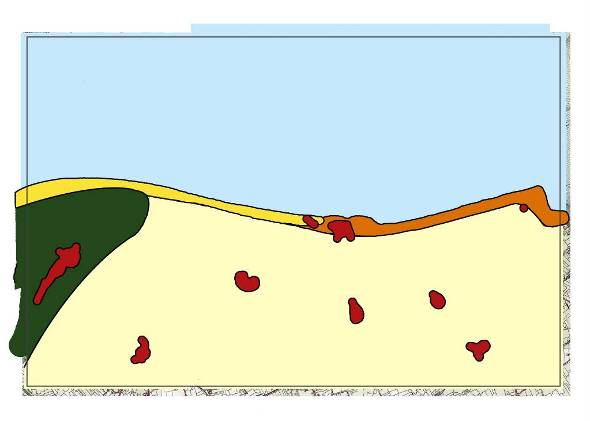 2.3.2 ebohbk_^obi^kap`e^mppqor`qrobk De diversiteit in Brouwersdam-Zuid zien we onder andere terug in de verschillende landschapsstructuren.