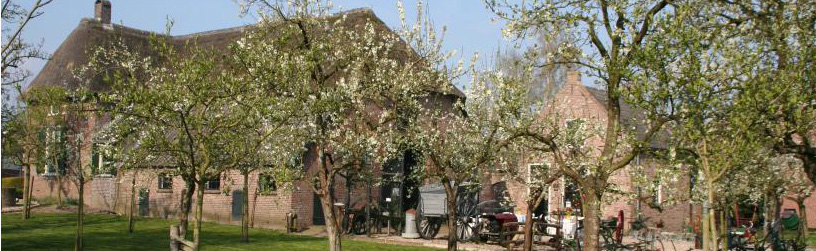 Het leven van vroeger was gewoon keihard. Mensen hadden geen licht, gas en water. De boerderij is sinds 30 jaar een stichting. Deze boerderij is overgenomen voor de schitterende prijs van 1 gulden.