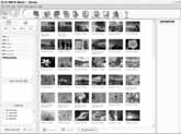 Stilstaande beelden en video's bekijken Klik op Browse Images (In beelden bladeren) in het hoofdmenu van OLYMPUS Master. Het venster Bladeren verschijnt.