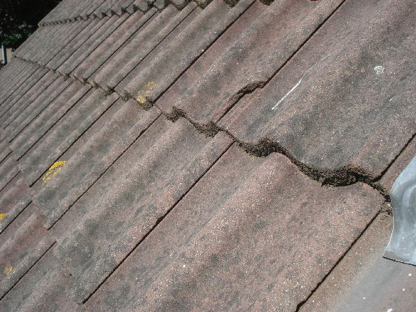 Inspectie detailgegevens dak Dakbedekking hellend Beton pan / Geheel waarneembaar Goed Gebrek Erosie, verwering, verzanding Toelichting Deze betonpannen zijn van een mindere kwaliteit.