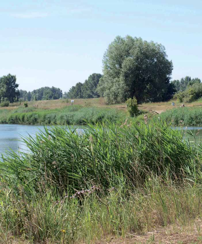 Zo creëren we een natuurlijke