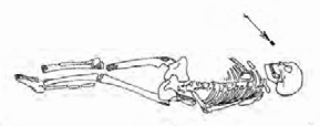 Afb. 34e. Skelet aangetroffen bij dijkverzwaring in de Ossenwaard [uit: 229]. Afb. 34f. Locaties van de waarnemingen binnen het onderzoeksgebied [uit: 229].
