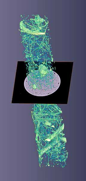 Afb. 39b20. Voorbeeld van een CT scan. Deel van 3D beeld met positie van doorsnede. Wortels en houtskoolfragmenten zijn duidelijk zichtbaar. Houtskoolfragmenten zijn met pijlen aangegeven [uit: 126].