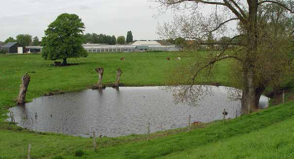 Afb. 19f. De Slag om Huissen in 1502 [bron: Gilde Huissen]. Het proces van archeologische monumentenzorg In 2006 is een eerste vooronderzoek uitgevoerd aangevuld met een veldstudie.