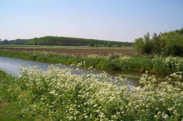 Deze kan in samenhang met de centrale landschappelijke zone een bijdrage leveren aan de ontwikkeling van een fraaie landschappelijke geleding tussen deze kernen.