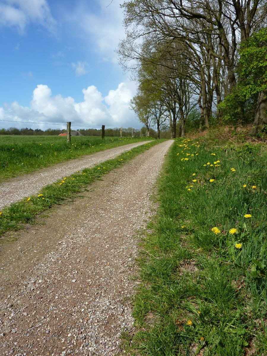 1 Es Oude buurtschap Archem De weg die u volgt loopt door het oude buurtschap Archem. Steek vanaf de parkeerplaats van de Lemeleresch de grote weg over en loop Archem in.