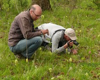 Monitoring is ook nodig om er achter te komen of en hoe (economische) activiteiten binnen het Natura 2000-gebied invloed uitoefenen op de ontwikkeling van de natuurwaarden.