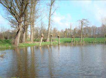 Meer ruimte voor water De Belselebeek loopt vanaf het projectgebied verder doorheen het centrum van Belsele.
