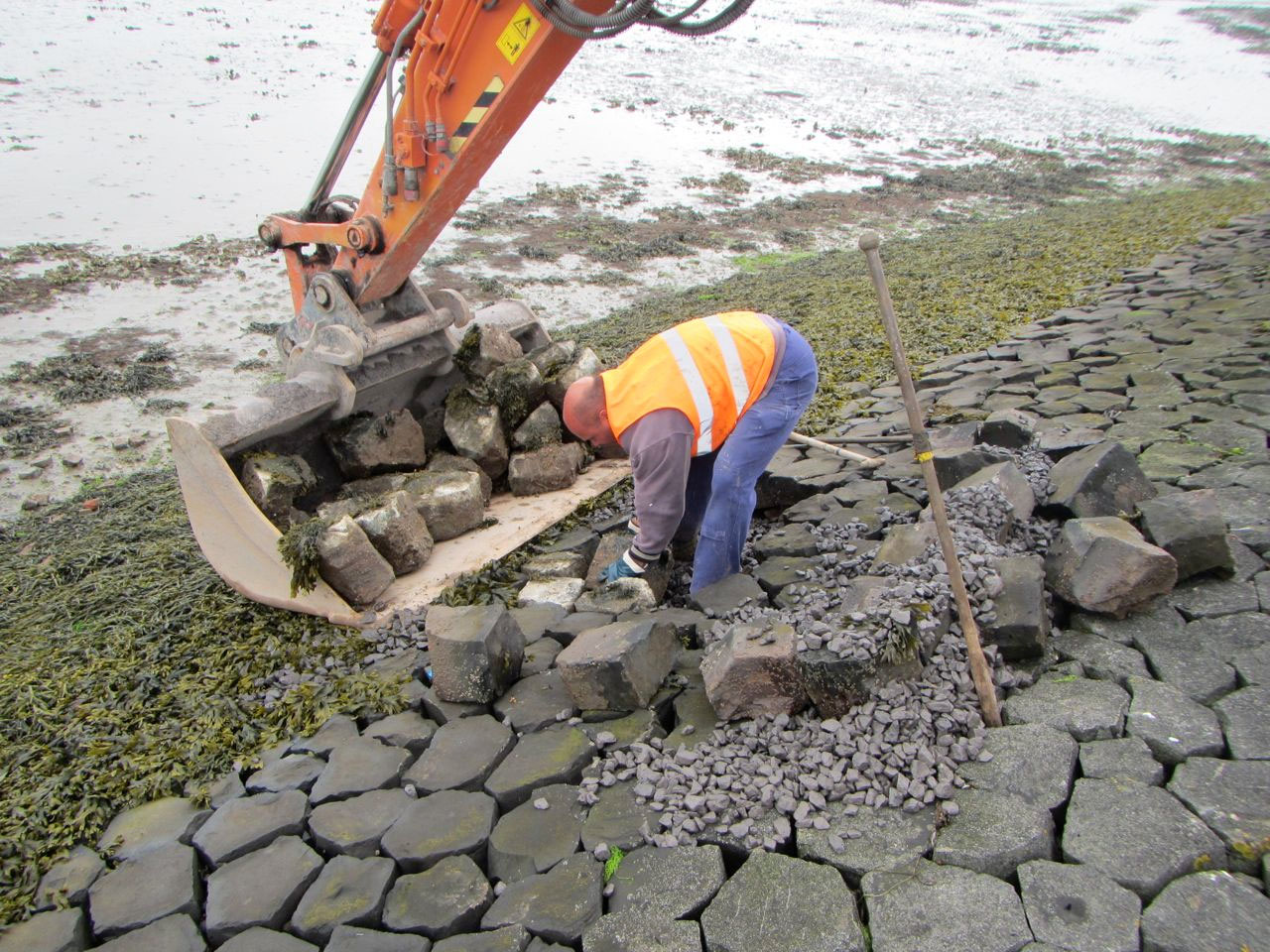 2.2 Proefopzet 1. Proef 1: Basaltzuilen herplaatsen in glooiing op nieuwe locatie (Zandkreekdam) Er zijn 10 begroeide zuilen herplaatst in een stuk basaltglooiing ter hoogte van dijkpaal 1707,5.