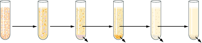 Practicum 1: bepalen enzymactiviteit Vragen bij de oefen- en zelftoets-module behorende bij practicum 1 Versie 2012-2013 In deze module ga je een experiment uitvoeren.