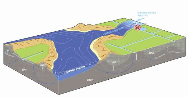 In het hoofdwatersysteem zal de rivierafvoer in de zomer sterk dalen in de scenario s Stoom en Warm, en zal door de combinatie met zeespiegelstijging de zoutindringing (externe verzilting) toenemen.