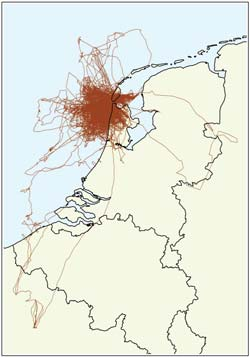 (2012) hebben op basis van de gegevens uit Camphuysen 2011, het foerageerbereik van kleine mantelmeeuwen van Texel bepaald en ingedeeld in een GIS-grid om fluxen te kunnen bepalen binnen subgebieden