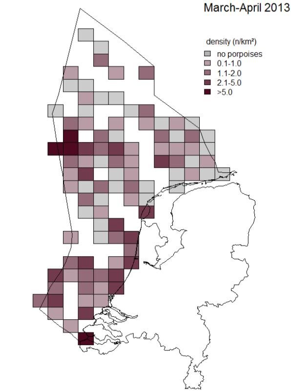 Figuur 11: Verspreiding bruinvis op basis van vliegtuigtellingen in maart/april 2013 (Geelhoed, 2014).