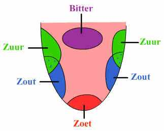 Ook zorgen de diverse druivensoorten voor verschillende aroma's. Van fris zuur, appelig tot exotisch zoals iets van ananas, banaan, perzik, voor wit.