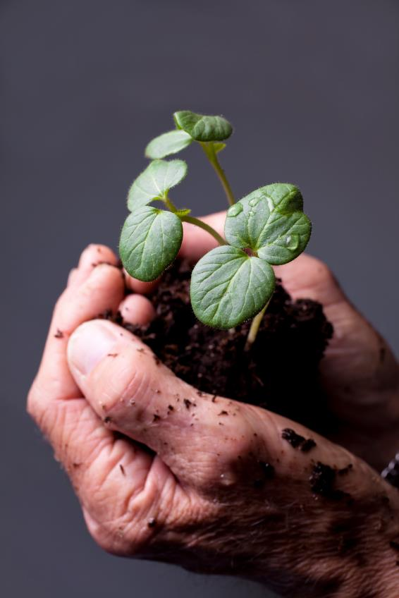 Neem de tijd! Les voyageurs sont trop pressés de nos jours, pressés d arriver, d arriver à tout prix, mais ce n est pas au bout du chemin que l on arrive.