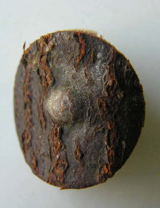 P604140 Fig.
