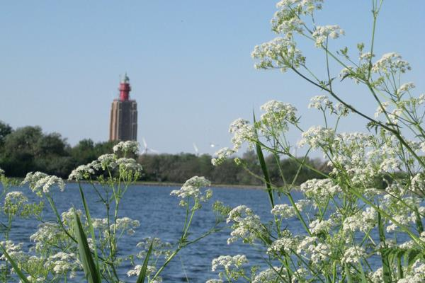 De Zeeuwse Rivièra In Zeeland, waar zee en land elkaar ontmoeten is het heerlijk om tot rust te komen en met volle teugen nieuwe energie op te doen.